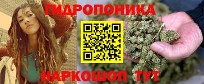 jwh Кандалакша