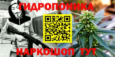 СК Канаш