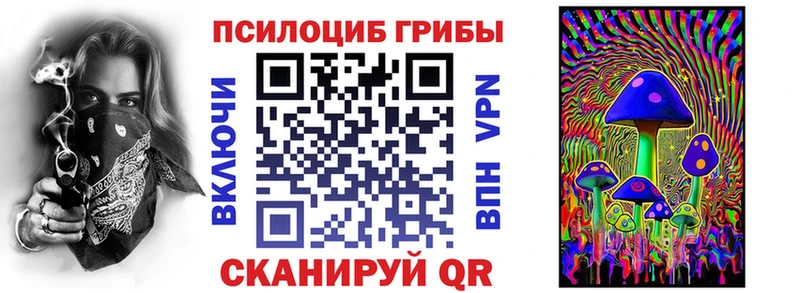 Галлюциногенные грибы Psilocybe Менделеевск