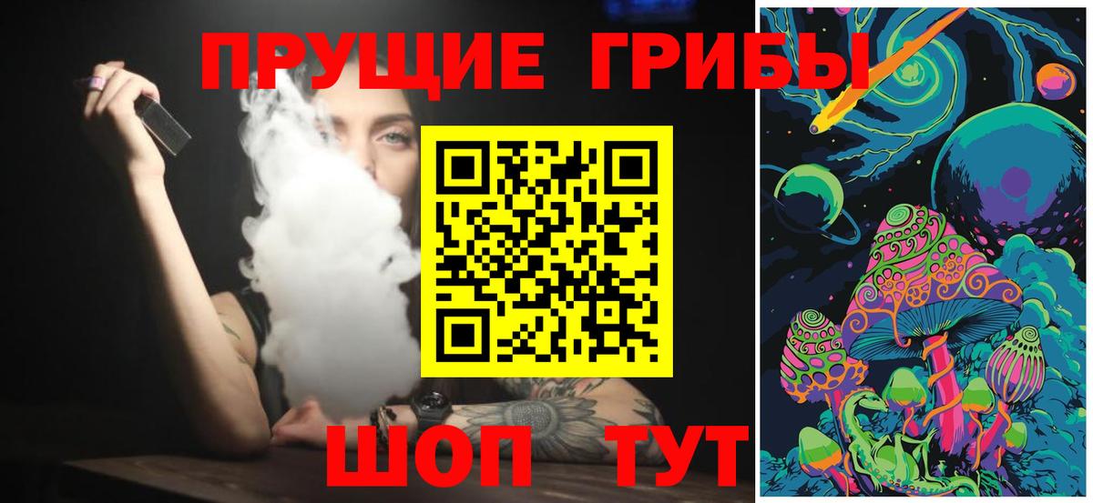 дарнет шоп  Вход с VPN  Менделеевск  Псилоцибиновые грибы Psilocybine cubensis 